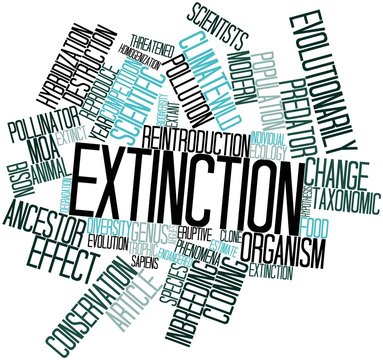 Word cloud for Extinction