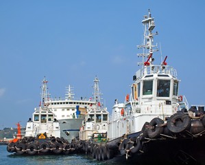 A Row of Tugboats in the Harbor