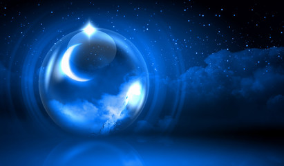 Winter christmas forest