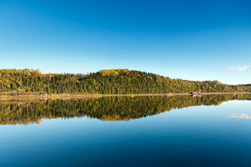 Autum forest reflection in the ocean