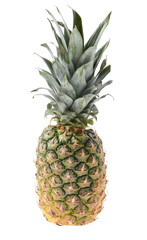Fototapeta premium Pinapple