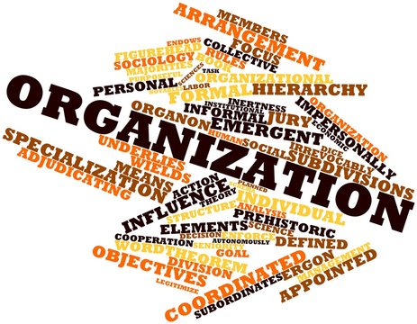 Word cloud for Organization