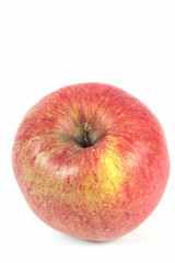 Apfel Jonagold