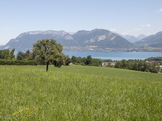 Lac d'Annecy