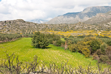 Green hills and granite mountains in Crete