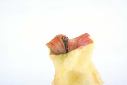 Apfel Jonagold