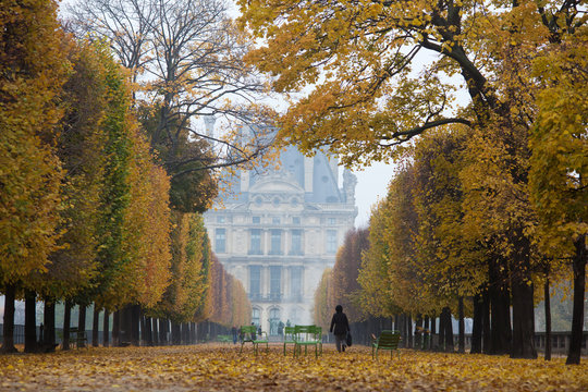 Herbst im Park Tuilerien in Paris