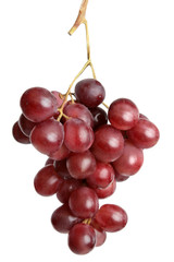 Grape