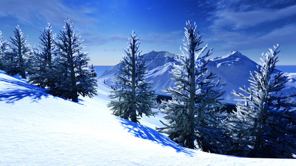 Christmas, magical forest