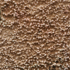texture