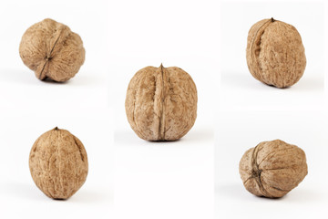 5 different views of walnuts (series)