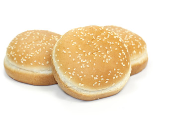 pains burger