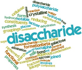 Word cloud for Disaccharide
