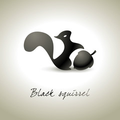 Black squirrel background - Scoiattolo nero fondo