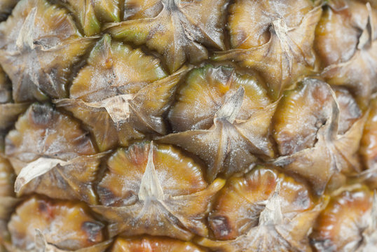 Macro Pineapple Texture.