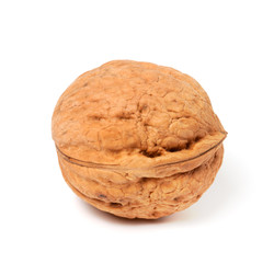 Walnut on white background. Close-up view.
