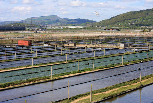 Worm farm, Aberaven