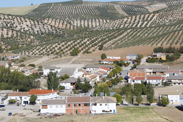 Pueblo y olivos