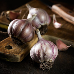 Garlic