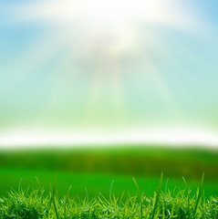 Obraz premium field at sunset