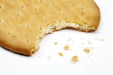 Half Eaten Biscuit