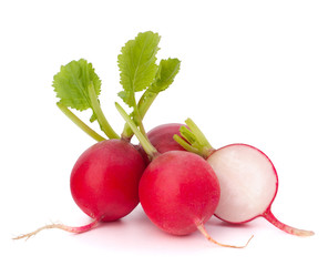 Small garden radish - obrazy, fototapety, plakaty