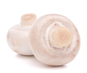 Champignon mushroom