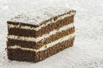 A cake on shredded coconut