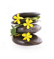 spa stones with yellow flowers isolated