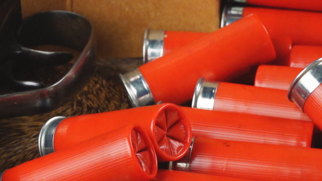 Shotgun Shells