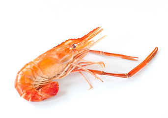 shrimp isolated on white