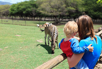 family looking at zebra in Zoo