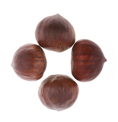 four chestnuts nuts isolated on white