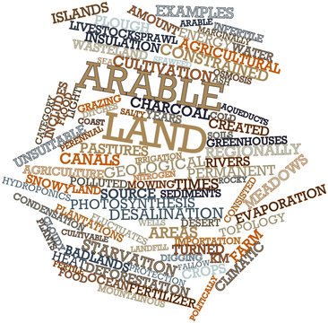 Word cloud for Arable land