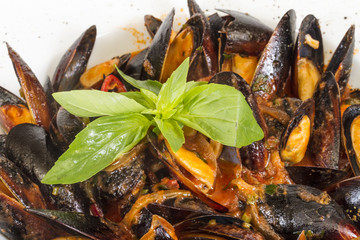close up on mussels on white background