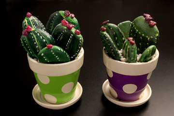 Cactus decorativi