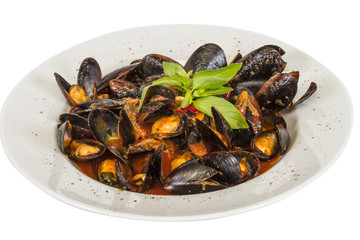 close up on mussels on white background