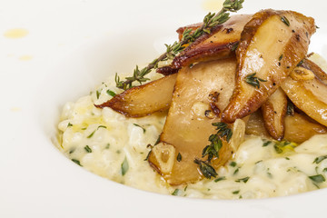photo of delicious risotto dish with herbs and mushrooms on whit