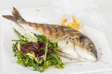 Dorada fish with salad on the white plate. Studio shot