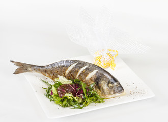Dorada fish with salad on the white plate. Studio shot