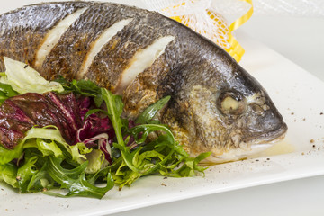 Dorada fish with salad on the white plate. Studio shot