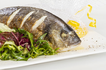 Dorada fish with salad on the white plate. Studio shot