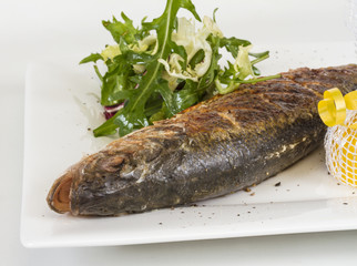 Sea-bass with vegetables