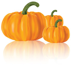 Three realistic pumpkins