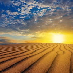 Naklejka premium sunset over a desert