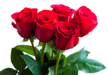 Bouquet of red roses