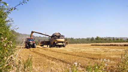 Combine Harvester and Tractor