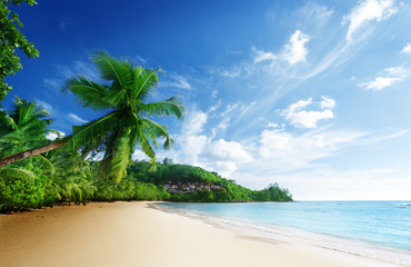 sunset on beach Anse Takamaka of Mahe island, seychelles