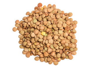 Lentils Isolated on White Background