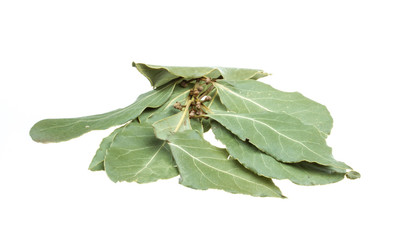 Aromatic Bay leaves (laurel) isolated over white background